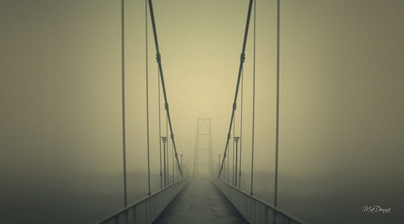 Foggy Bridge, highway, bridge, dusk, mysterious, fog, mist, HD wallpaper