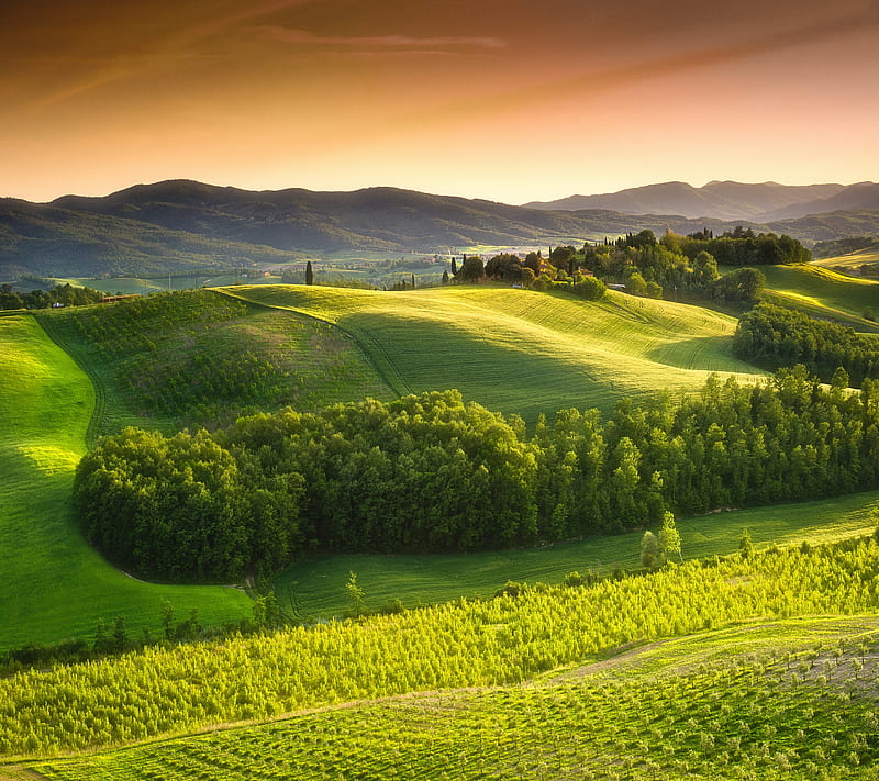 Valley Hill, italian, italy, sunset, tuscan, tuscany, HD wallpaper