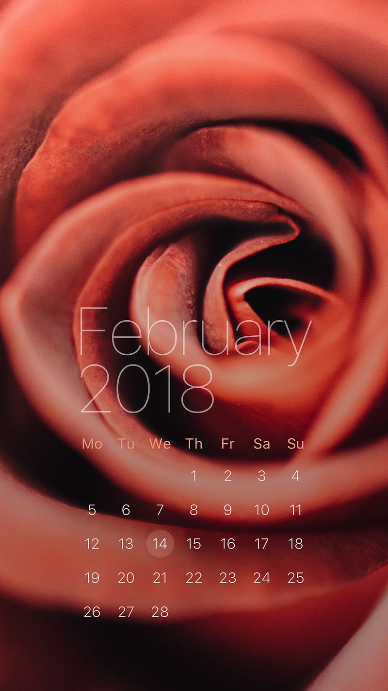 Red Rose, feb, february, calendars, desenho, HD phone wallpaper Peakpx