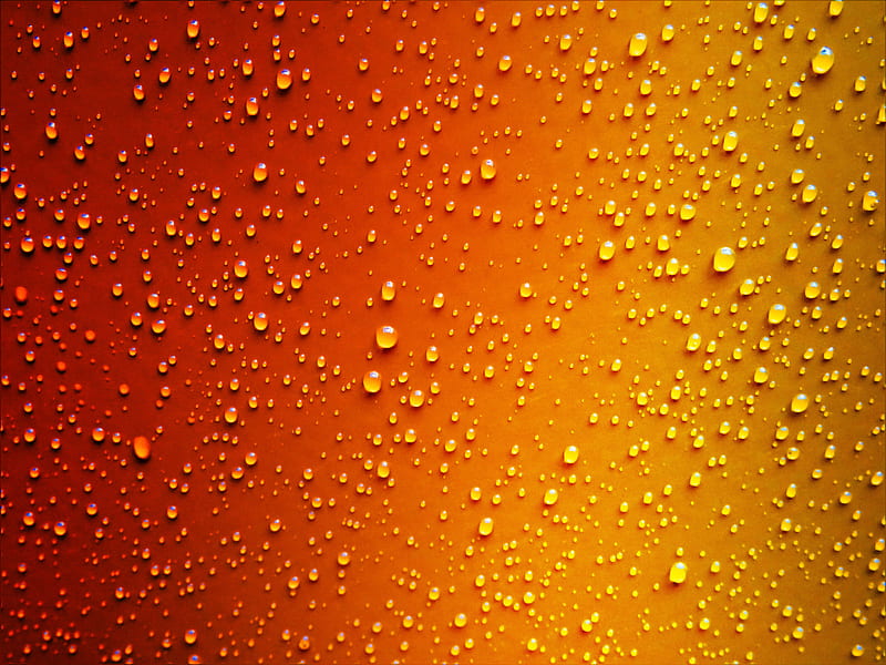 Red Yellow Dew Drop Wet , dew, drop, graphy, drops, HD wallpaper