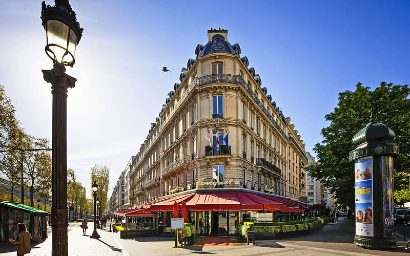 Paris summer, street, Champs Elysees, France, HD wallpaper