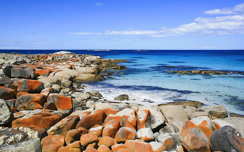 Freise Bay coast, sea, Tasmania, Australia, HD wallpaper