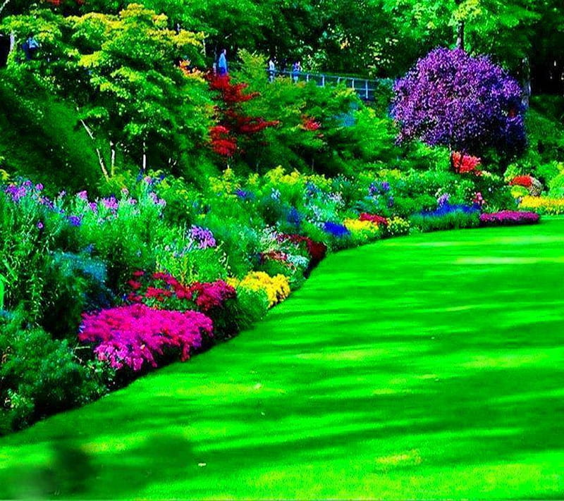 Romantic Garden, HD wallpaper | Peakpx