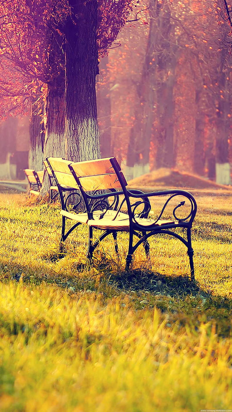 Bench in the park, bench, grass, nature, park, HD phone wallpaper | Peakpx
