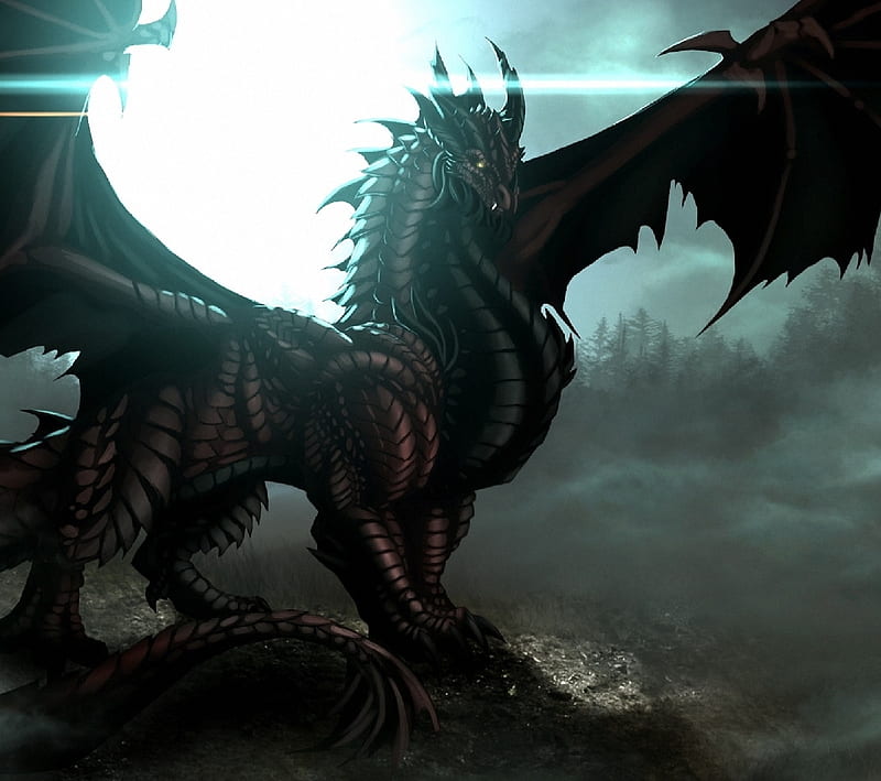 Dragon Of Black, black, dragon, fantasy, fire, mythic, n6, HD wallpaper