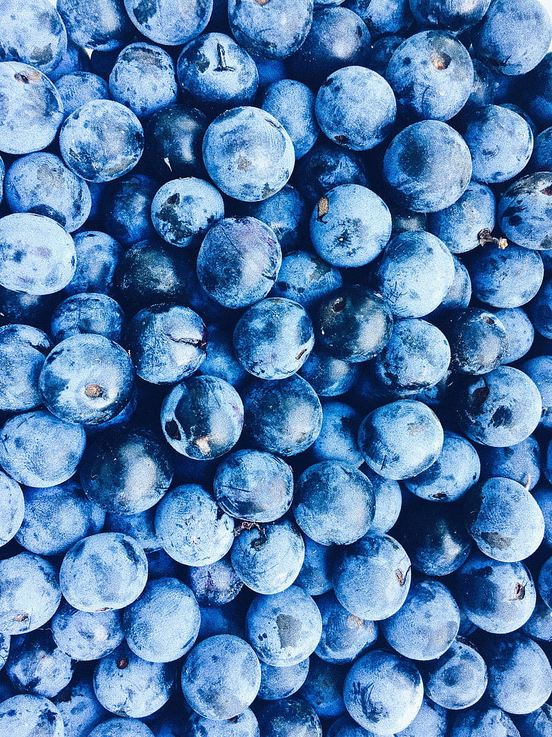 blueberries, berries, blue, ripe, HD phone wallpaper