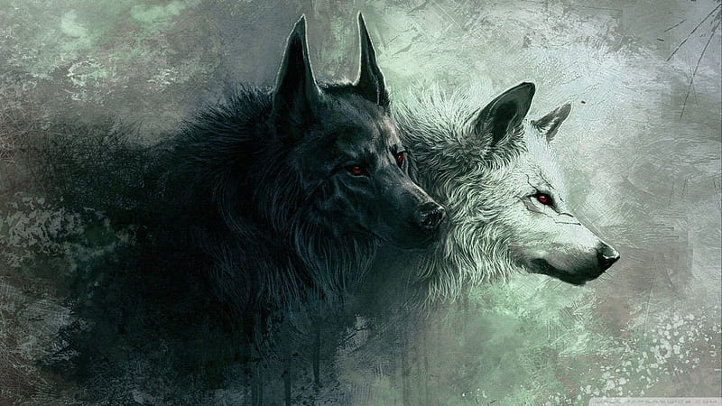 Wolf ! awesome, black, wolf, white, HD wallpaper