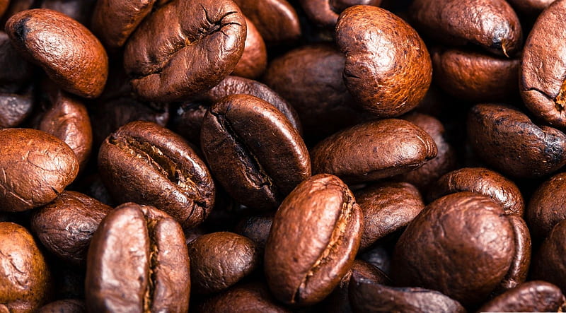 Roasted coffee beans, coffee, abstract, still life, graphy, brown coffee beans, HD wallpaper