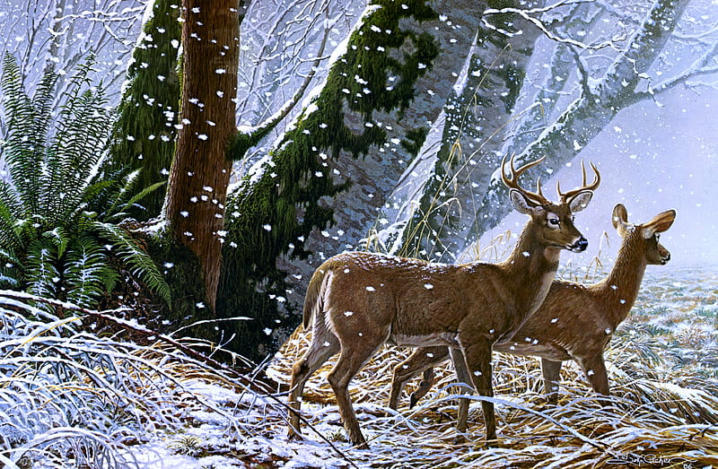 Forest edge, snow, bonito, edge, deers, roe, winter, snimals, forest, art, snowfall, HD wallpaper