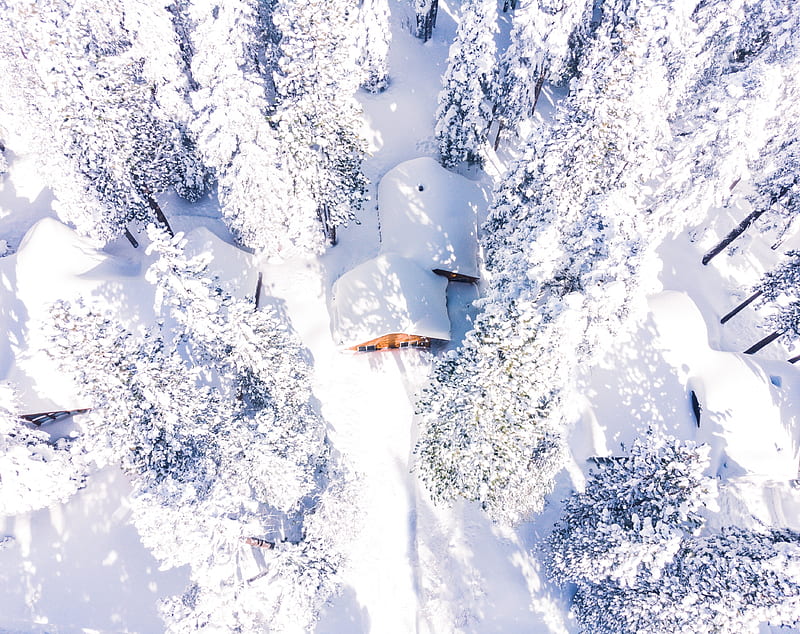Drone graphy Winter Snow Forest Landscape Ultra, Seasons, Winter, View, White, Trees, Forest, graphy, California, Woods, Snow, Snowy, Aerial, Outdoor, Drone, unitedstates, snaps, HD wallpaper