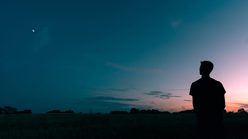 silhouette of man looking star during sunset, HD wallpaper