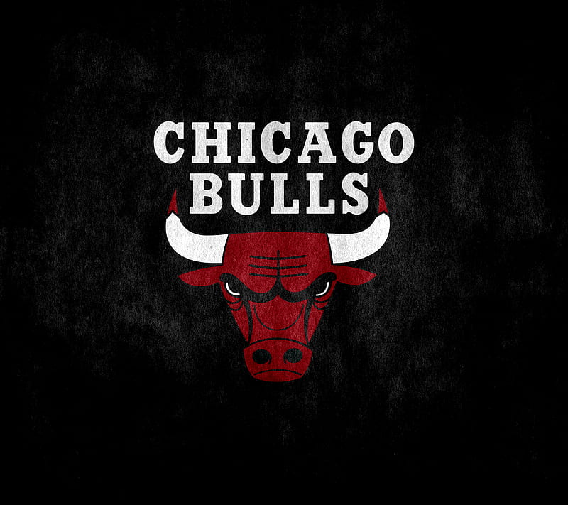 Chicago Bulls, jordan, nba, noah, pippen, rodman, rose, HD wallpaper