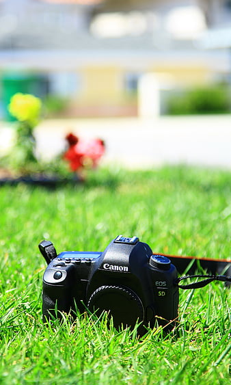 Canon 5D: Ảnh chụp từ Canon 5D sẽ khiến bạn ngạc nhiên về chất lượng hình ảnh tuyệt đẹp. Hãy xem để chiêm ngưỡng khả năng của chiếc máy ảnh này và khám phá thế giới mới với những bức ảnh sống động.