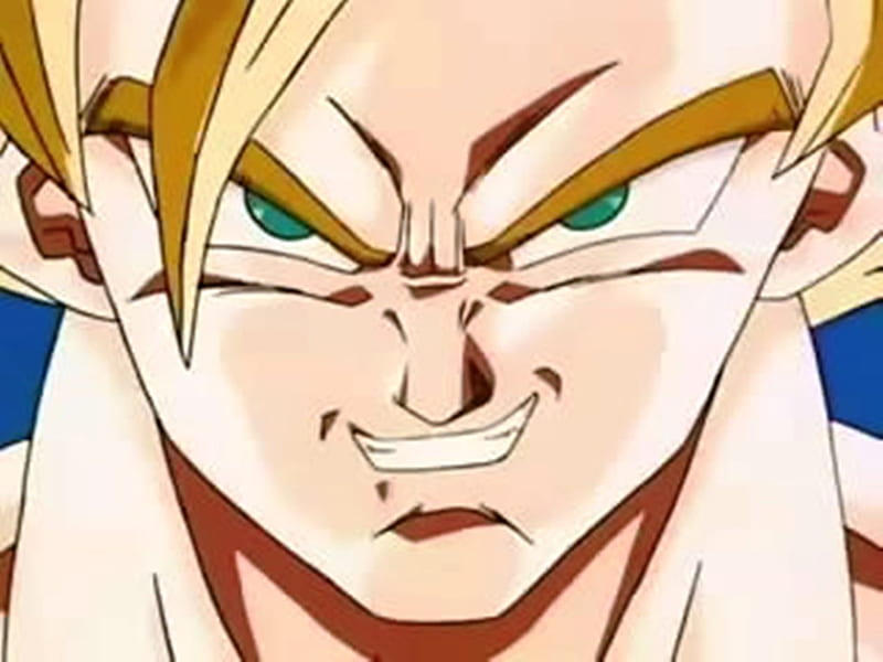 Confident Goku, goku ssj2, super saiyjan, fighter, ssj, HD wallpaper