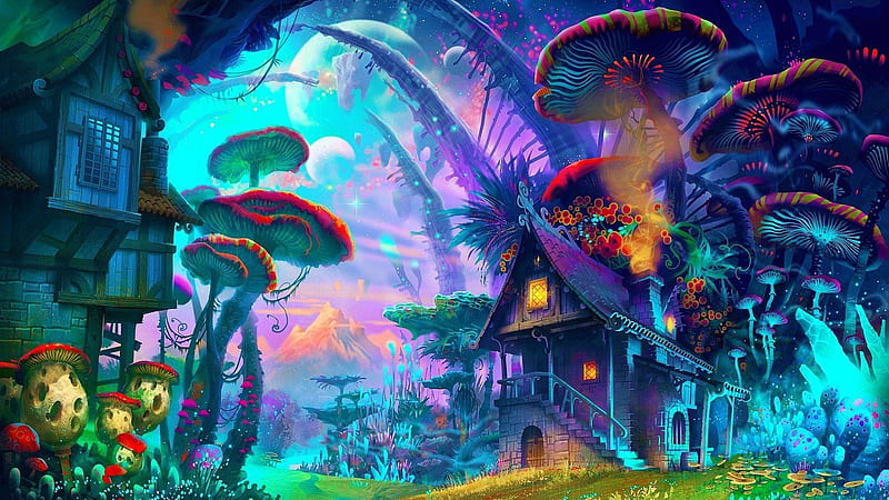 Beautiful Colorful Nature Mushrooms Trippy Trippy, HD wallpaper
