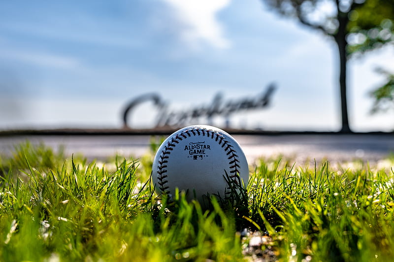 baseball, ball, grass, HD wallpaper