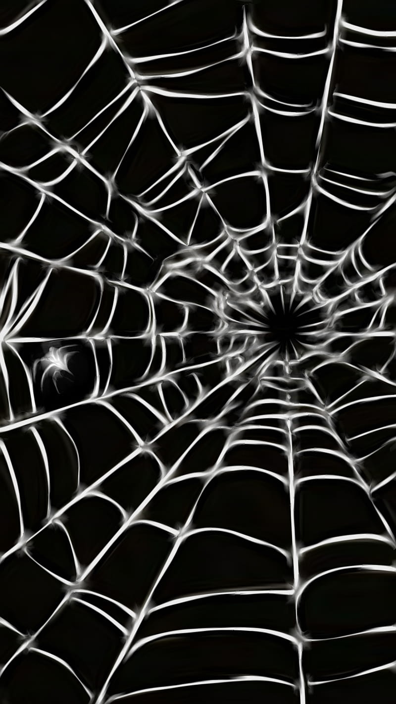 Charlottes Web, black, dark, insect, interesting, nature, silk, spider, web, white, HD phone wallpaper