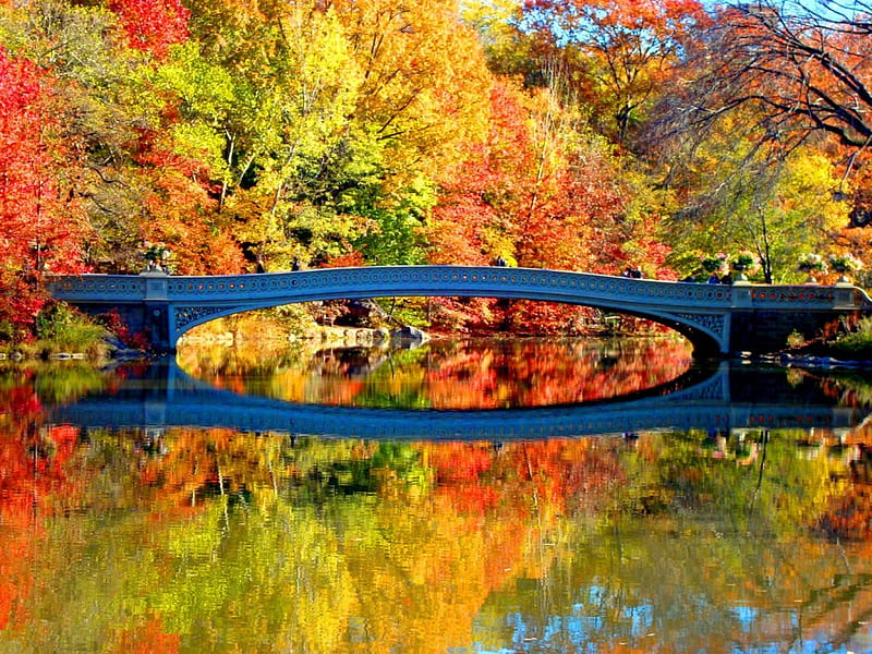 Bow bridge, forest, fall, r lake, rive, colors, bonito, bow, trees, autunm, foliage, tranquil, calm, serenity, bridge, mirror, reflection, HD wallpaper