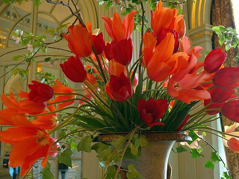 Coloured Tulips, red, at home, orange, colorful tulips, yellow, green leaves, HD wallpaper