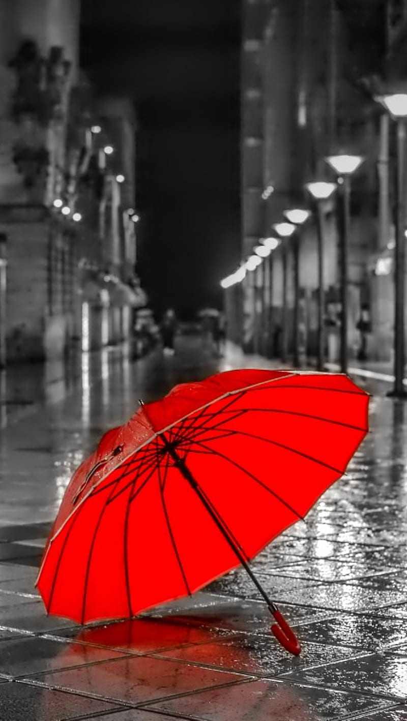 rain, nature, red, umbrella, HD phone wallpaper