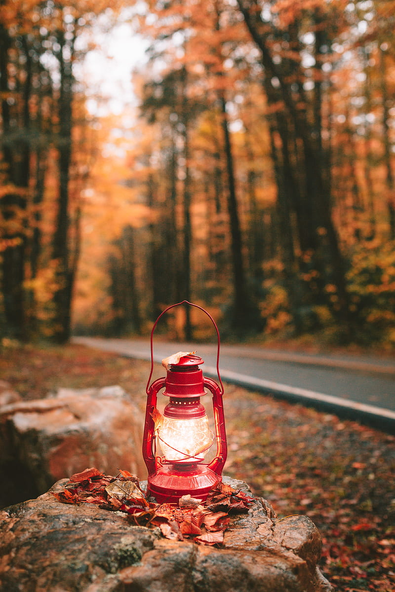 lantern, light, red, autumn, HD phone wallpaper
