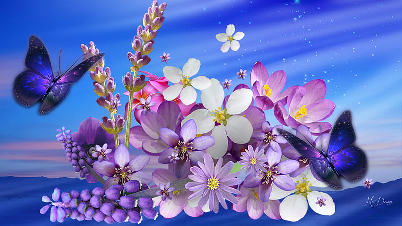 Spring in Purples, frangipani, crocus, plumeria, flowers, spring ...