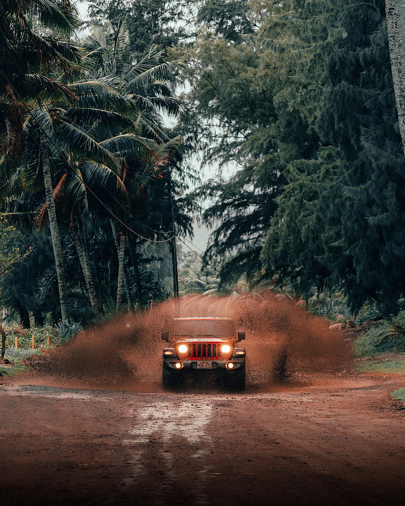 jeep wrangler, jeep, car, suv, red, tropics, HD phone wallpaper