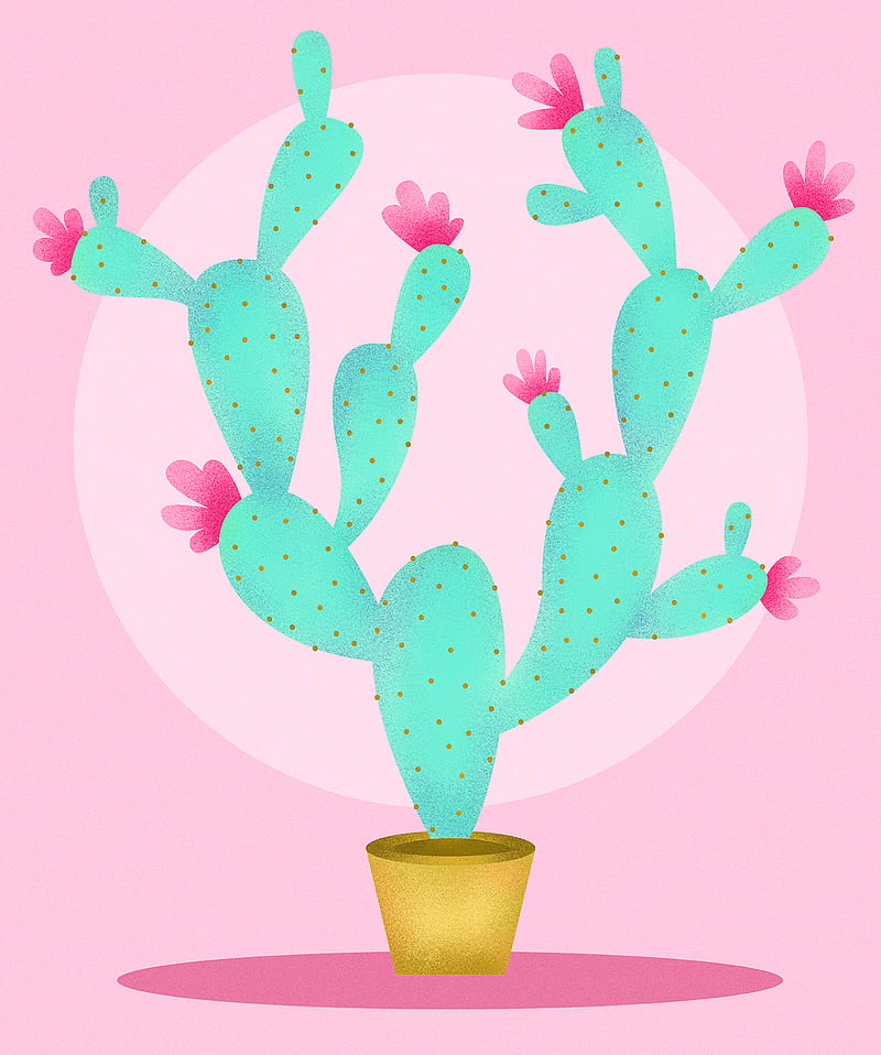 cactus, flowers, pink, art, HD phone wallpaper