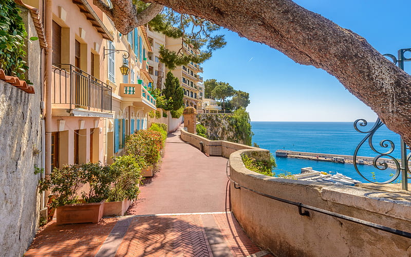 Monaco, Mediterranean sea, summer, coast, seascape, buildings, Monaco cityscape, HD wallpaper