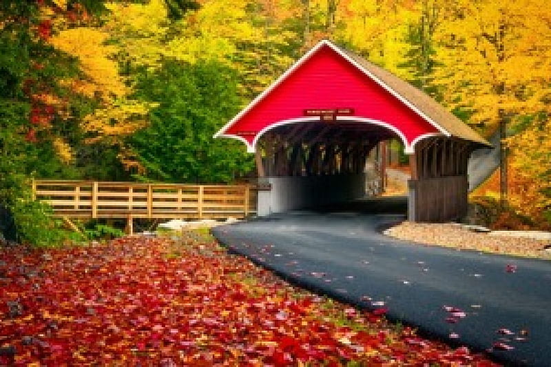 Covered bridge in autumn, forest, colorful, fall, autumn, covered, bonito, foliage, leaves, bridge, road, HD wallpaper