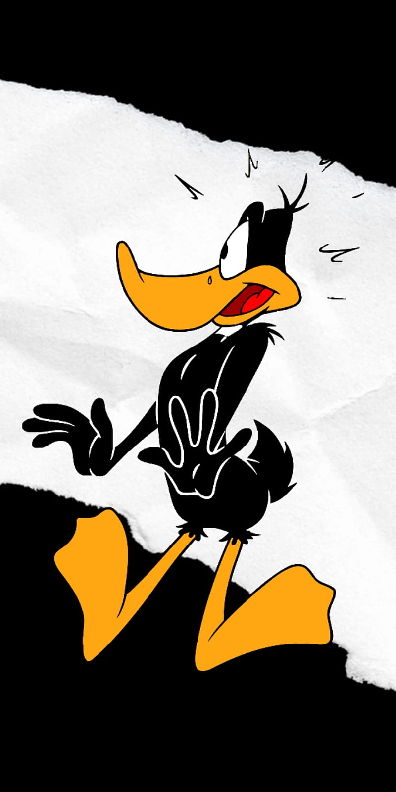 Daffy Duck, Looney Tunes, Pato Lucas, HD phone wallpaper | Peakpx
