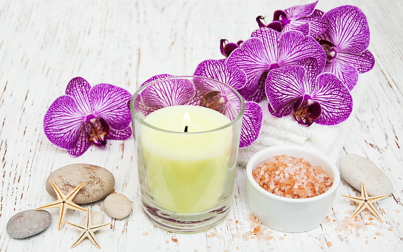 spa accessories, sea salt, a branch of orchids, pink orchids, candles, starfish, spa concepts, wellness, HD wallpaper
