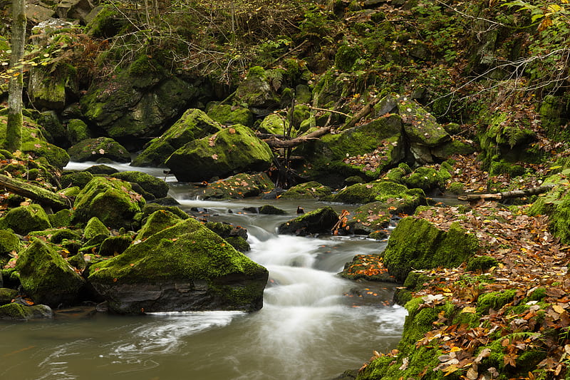 river, stones, rocks, moss, landscape, HD wallpaper