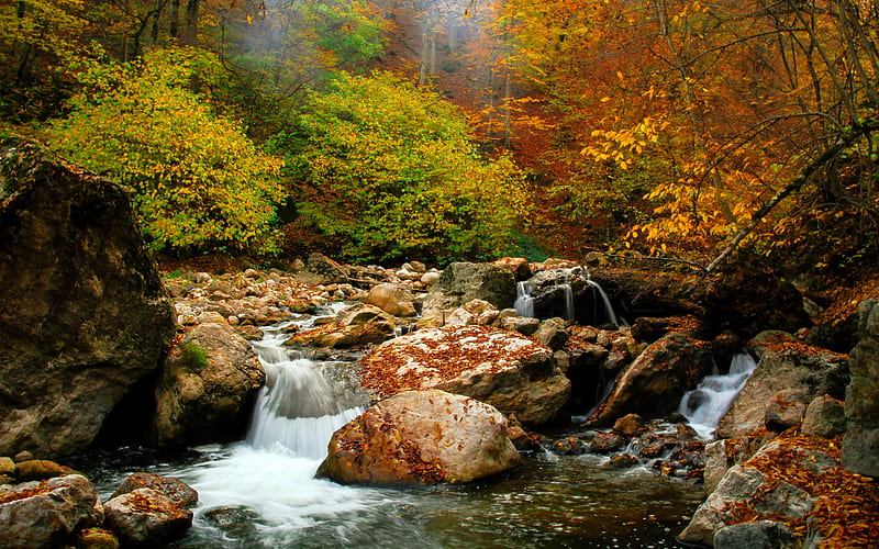Armenia autumn jungle stream river, HD wallpaper