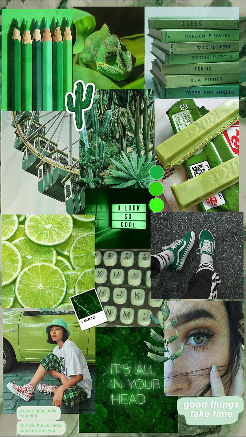 SageGreen green collage HD phone wallpaper  Peakpx