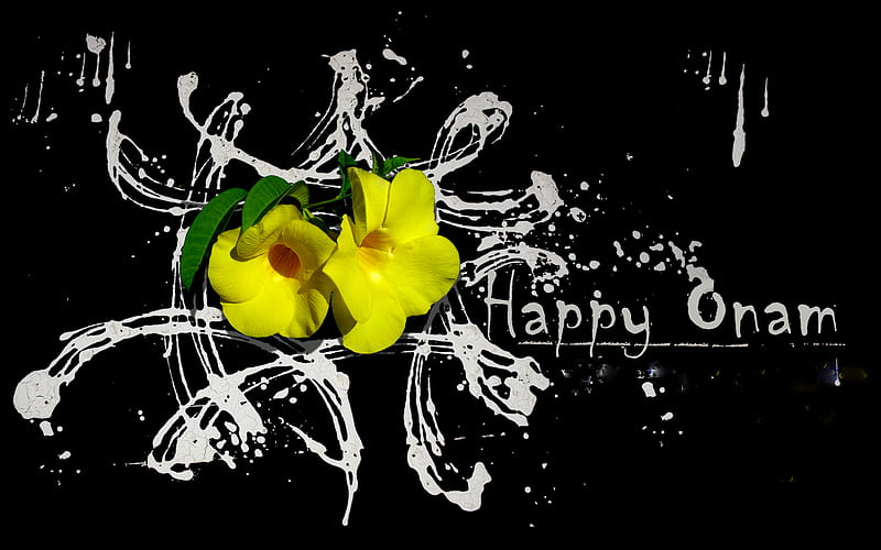 onam, festival, kerala, black, yellow, bonito, india, malayalam, happy, cute, chingam, flower, wishes, white, HD wallpaper