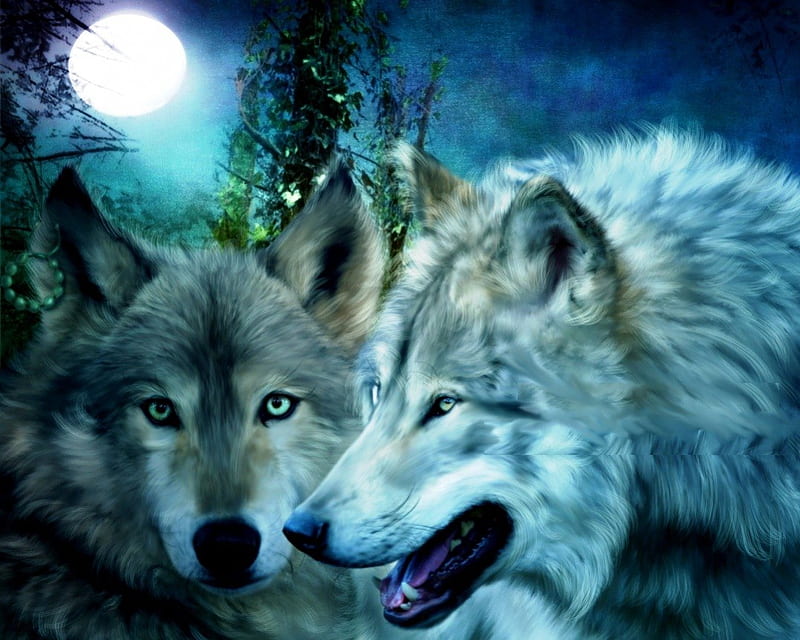 Lobos a la luz de la luna, depredador, nicht, paisaje, obra de arte, Fondo  de pantalla HD | Peakpx