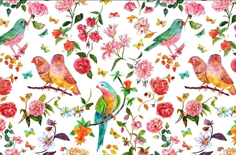 Texture, bird, colorful, pattern, flower, paper, watercolor, HD wallpaper