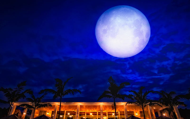 Full Moon, architecture, house, bonito, villa, clouds, villa garden, lights, moon, beauty, dream, blue, night, lovely, view, houses, colors, sky, palms, moonlight, peaceful, nature, fool moon, HD wallpaper