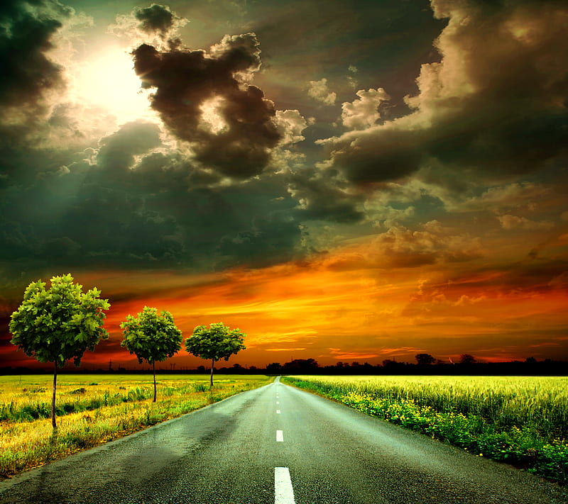 Night Road, background, field, nature night, road trees clouds sky, HD  wallpaper | Peakpx