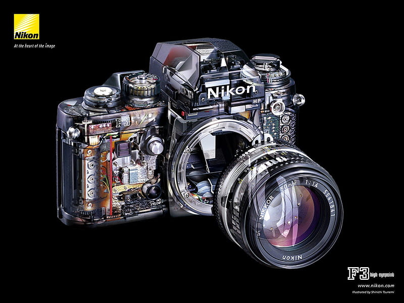 Nikon Camera, dslr, nikon dslr, nikon, HD wallpaper | Peakpx