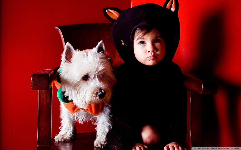 baby and dogs-Happy Halloween, HD wallpaper