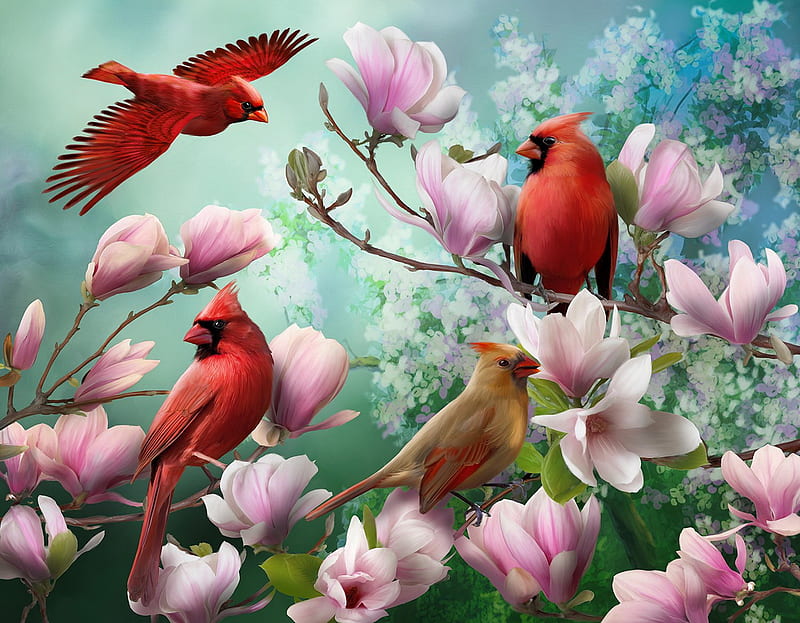 Four birds in flowers, cardinals, art, magnolia, four, gathering, flowers, birds, spring, bonito, HD wallpaper