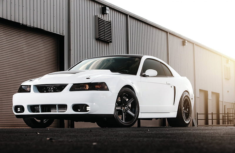 2000 mustang gt discount wheels