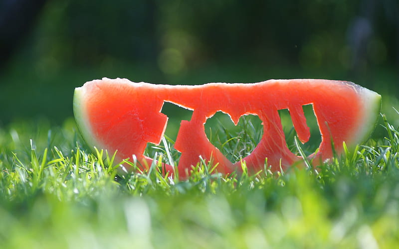 I Love You love concepts, slice of watermelon, bokeh, green grass, watermelon, HD wallpaper