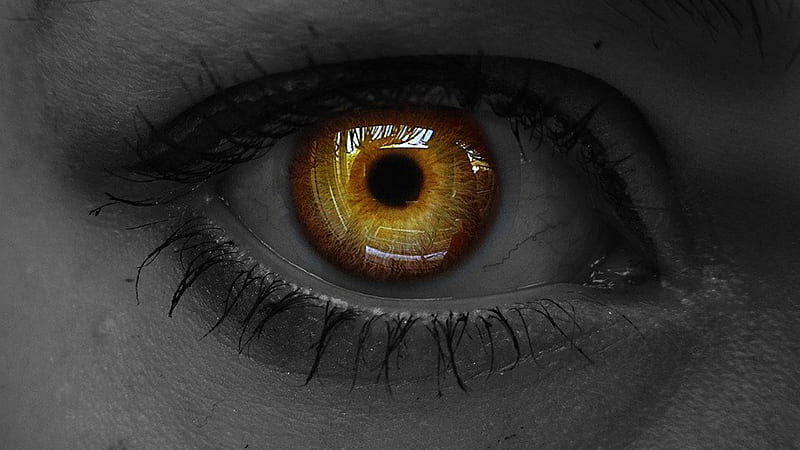 Yellow Black Pupil Iris Evil Eye Lashes