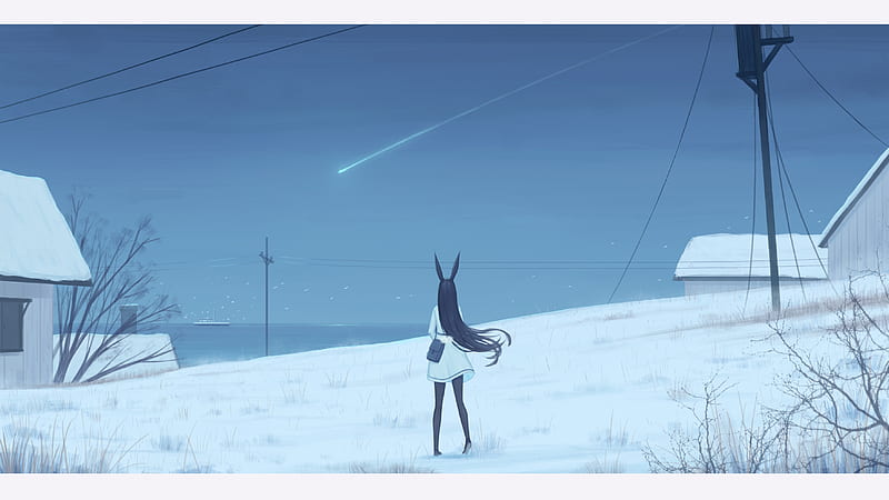 anime girl, back view, bunny ears, snow, field, falling star, long black hair, Anime, HD wallpaper