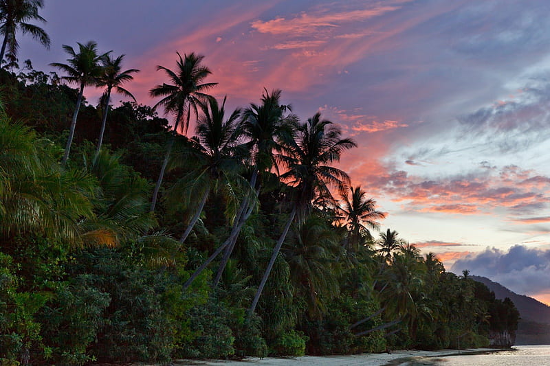 Sunset over Fiji, polynesia, sun, dusk, palm, sunset, sea, beach, lagoon, sand, evening, exotic, islands, ocean, trees, set, paradise, island, down, tropical, fiji, HD wallpaper