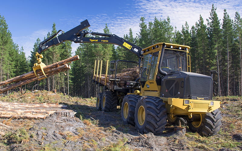 Tigercat 1075C, combined forwarder, tree loading, tractor, construction machinery, forestry equipment, swedish tractors, Tigercat, HD wallpaper