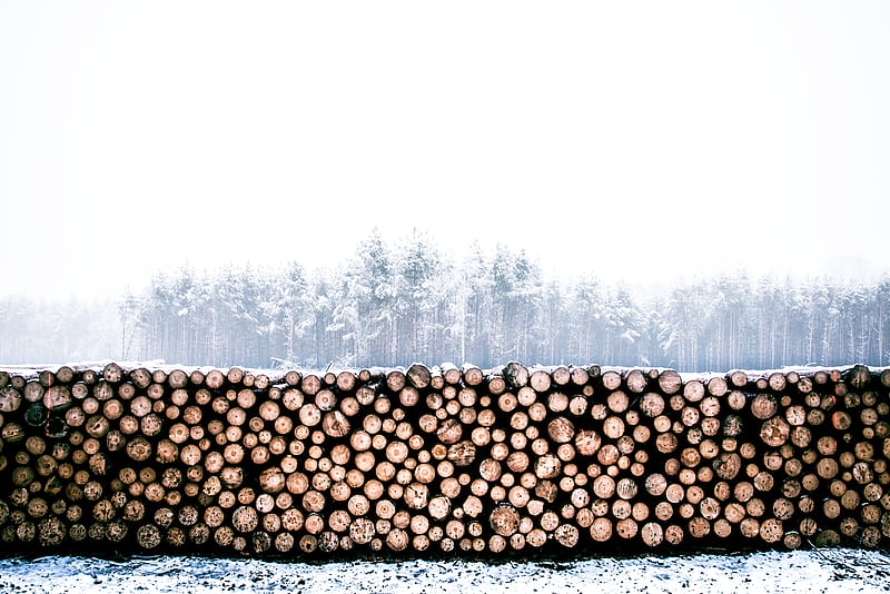 firewood lot, HD wallpaper